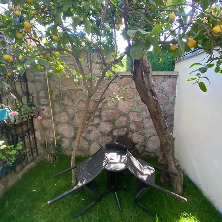 Anka 3* Cunda